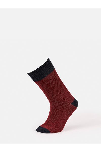 Colin's Men's Burgundy Socks
