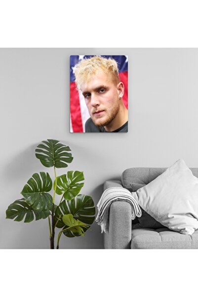 Pixxa Džejk Pol Metalna Slika Model 3