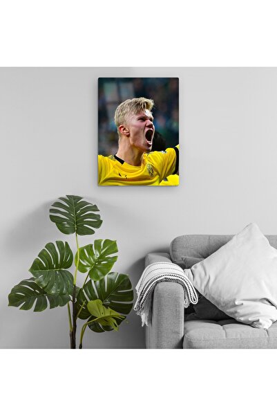 Pixxa Erling Haaland Metalna Slika Model 2