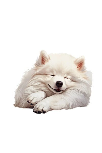 INOVATIX Set de 8 piese, autocolant eschimos american, INOVATIX®. 6 cm