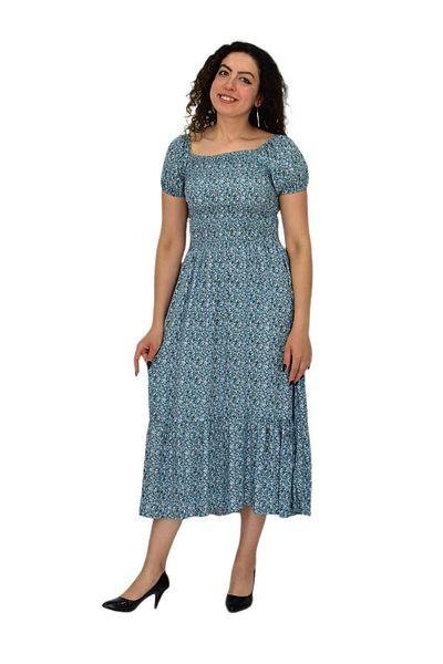 BAGLAN Women's Balloon Sleeve Elastic Waist Printed Dress Bgl-St04644