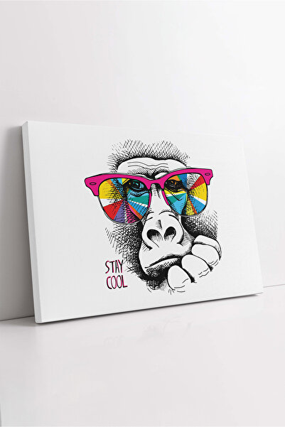 KOSS Dijital Pictură pe pânză cu desen de portret de maimuță, pânză colorată ...