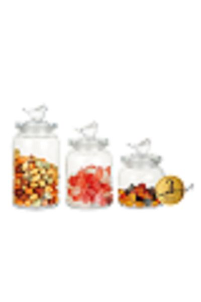 Bien Servi 3-Piece High-Quality and Durable Glass Canister Set with Lid