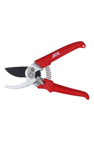 ACE Bypass Pruner