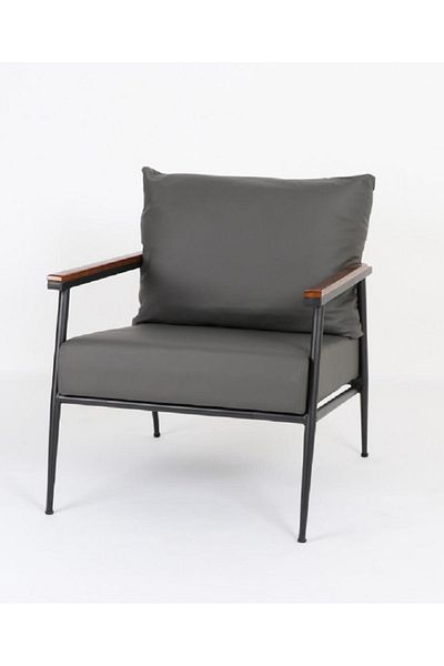 rexa Modern Accent Chair with Wood Accents