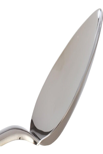 TESCOMA Tescoma Spoon Presto – Durable & Everyday Use