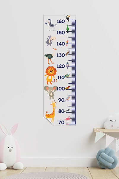 Akıllı Kağıt Statik Tutunma Özellikli Boy Ölçer (Model-17) 25X95 Cm