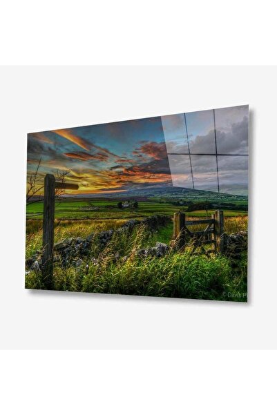 idealizbiz Pictură din sticlă Nature 4 mm Sticlă temperată durabilă