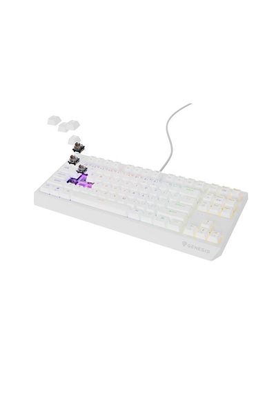 Genesis Thor 230 TKL wired mechanical gaming keyboard, RGB lighting, Brown switches, 87 keys