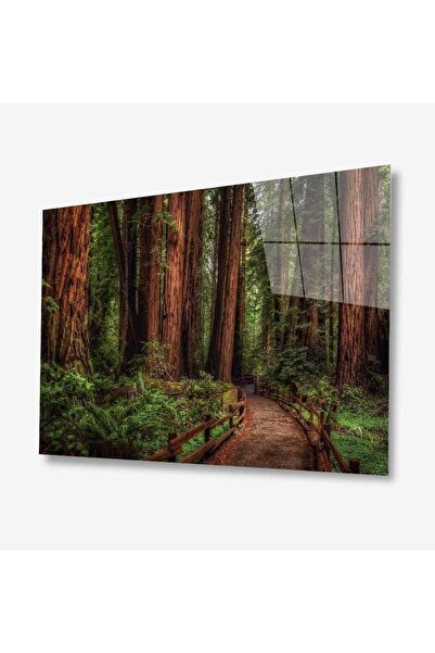 idealizbiz Nature Glass Painting 4mm Ανθεκτικό σκληρυμένο γυαλί