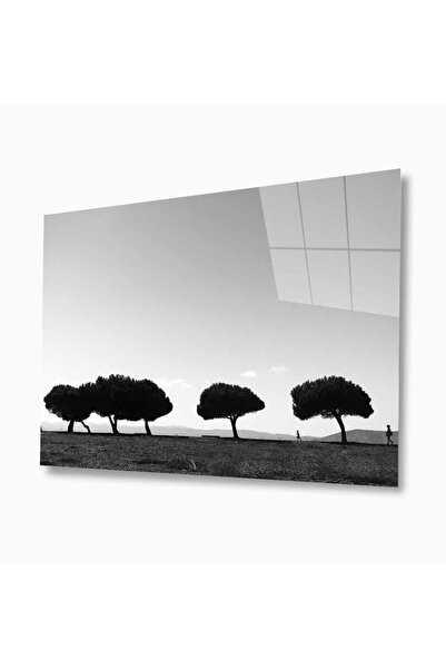 idealizbiz Pictură din sticlă Nature 4 mm Sticlă temperată durabilă