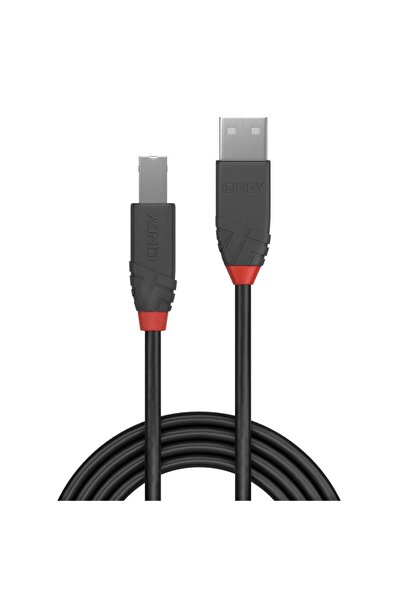 LİNDY Cabluri periferice Cablu Lindy 2m USB 2.0 TipA la TipB Anth