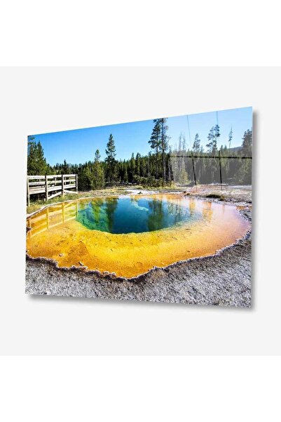 idealizbiz Pictură din sticlă Nature 4 mm Sticlă temperată durabilă