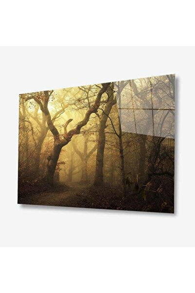 idealizbiz Pictură din sticlă Nature 4 mm Sticlă temperată durabilă