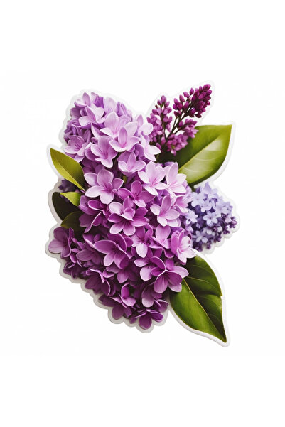 INOVATIX Set de 8 piese, Autocolant Creangă cu flori și frunze de liliac, INO...