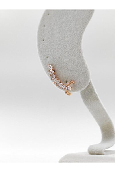 CARTILAGINOUS STONE EARRINGS