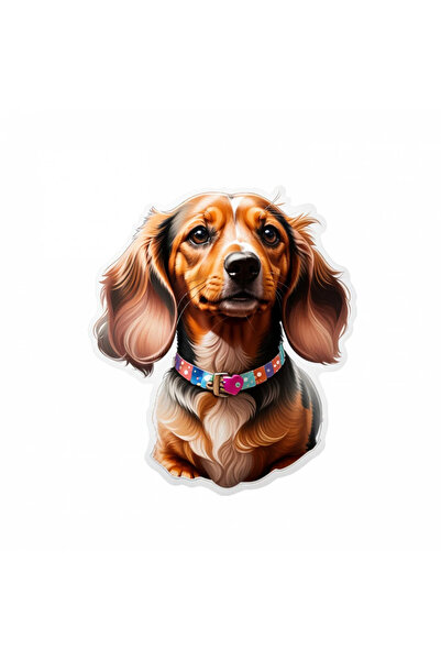 INOVATIX Set de 8 piese, autocolant câine Dachshund cu zgardă, INOVATIX®. 6 cm