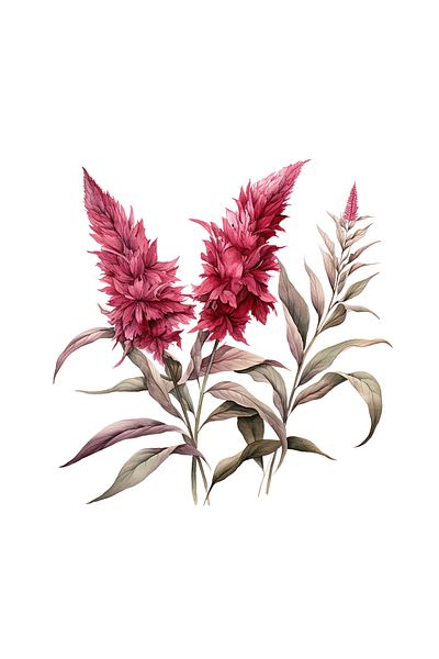 INOVATIX Set de 8 autocolante cu buchet de flori de amarant, INOVATIX®. 6 cm