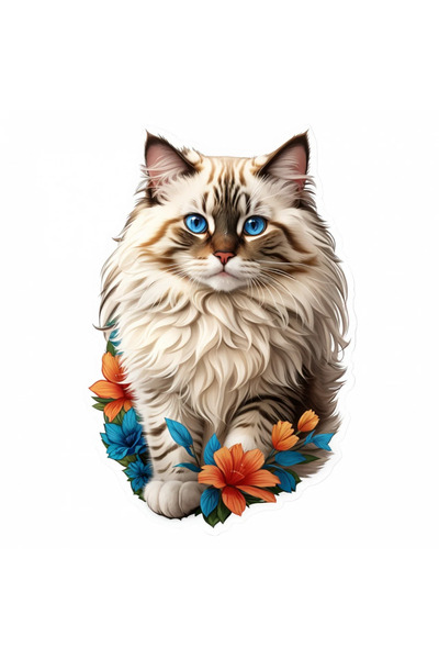 INOVATIX Σετ 8 τεμαχίων, Αυτοκόλλητο Γάτας Ragamuffin, INOVATIX®. 6 εκ.