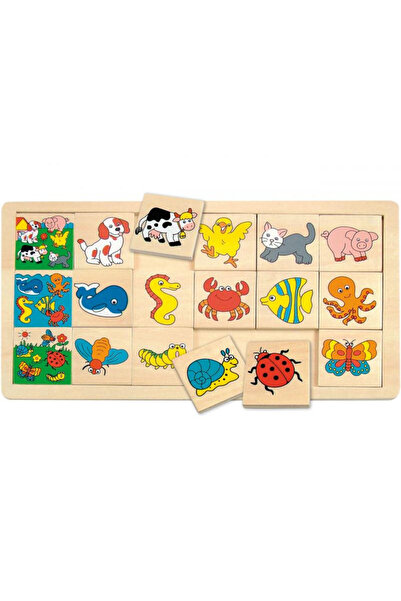 Evelise Ξύλινος εκπαιδευτικός πίνακας Harry Woodyland με εικόνες