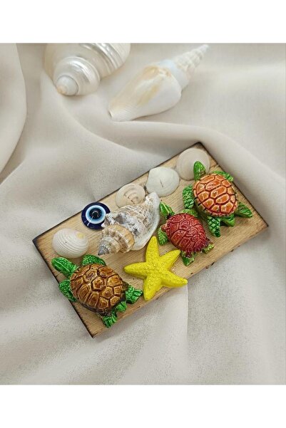 Hd Marketim Magnet Nazar Göz Boncuk Kaplumbağa Deniz Kabuğu Ahşap Mıknatıslı ...