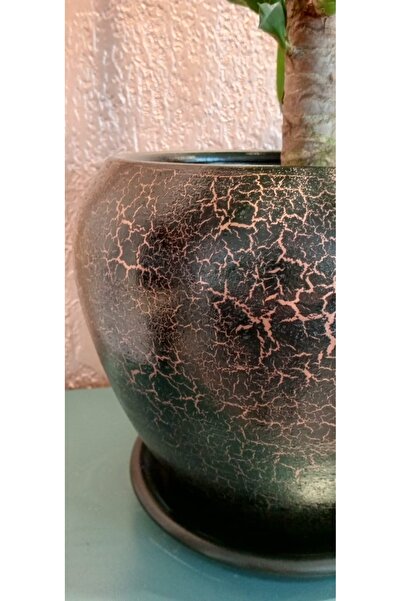 Home Toprak seramik saksı