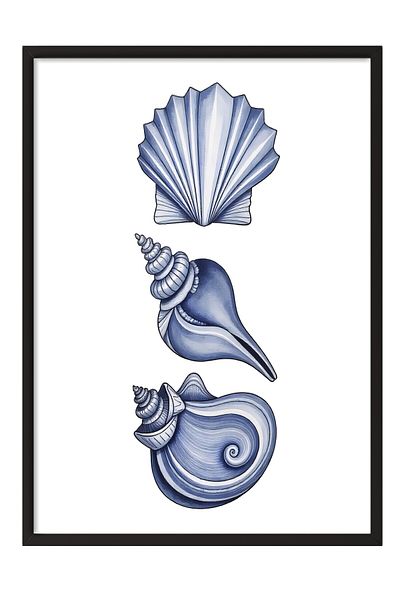 Postifull Black Framed Poster, Seashell, Illustration, Blue Color Poster, 2025 Summer Selection, No:109546