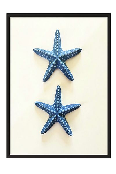 Postifull Black Framed Poster, Seashell, Photo, Blue Color Poster, 2025 Summer Selection, No:109651