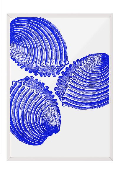 Postifull White Framed Painting, Shells, Illustration, Blue, White Color Poster, 2025 Summer Selection, No:109853