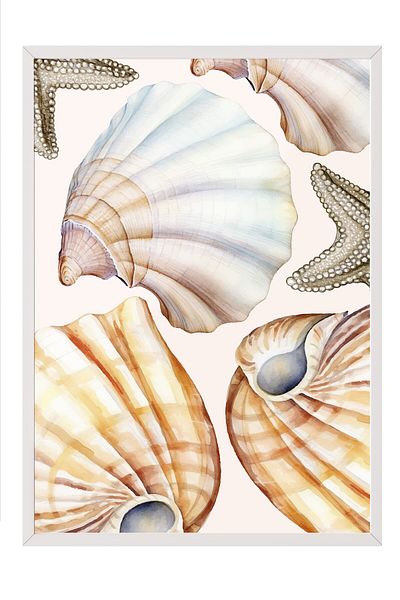Postifull White Framed Painting, Seashells, Starfish, Watercolor, Beige, Pastel Tones Color Poster, 20
