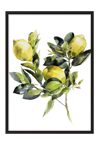 Postifull Black Framed Painting, Lemons, Leaves, Watercolor, Green, Yellow Color Poster, Summer Selection of 2025, No:
