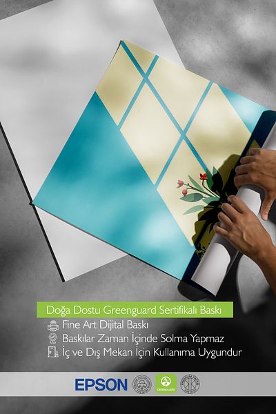 Postifull Pictură în cadru alb, reflectarea soarelui și floarea, ilustrație, poster de culoare albastră, selecție de vară 2025, N
