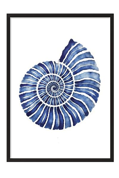 Postifull Black Framed Painting, Blue Seashell, Illustration, Blue Color Poster, 2025 Summer Selection, No:10972