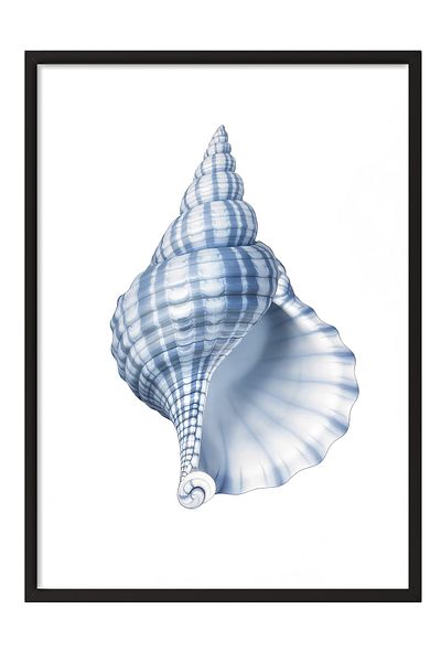 Postifull Black Framed Painting, Blue Seashell, Illustration, Blue Color Poster, 2025 Summer Selection, No:10974