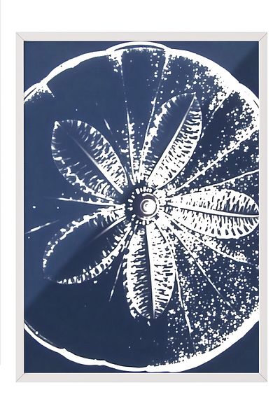 Postifull White Framed Painting, Orange Print, Illustration, Blue Color Poster, 2025 Summer Selection, No:109740