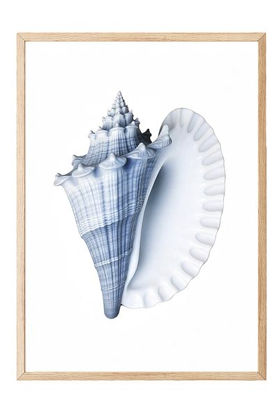 Postifull Wooden Framed Painting, Blue Seashell, Illustration, Blue Color Poster, 2025 Summer Selection, No:10974