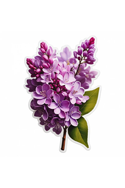 INOVATIX Set de 8 bucăți, autocolant cu flori de liliac, INOVATIX®. 6 cm