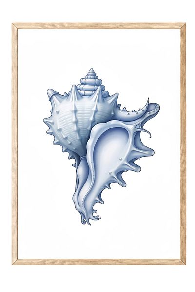Postifull Wooden Framed Painting, Blue Seashell, Illustration, Blue Color Poster, 2025 Summer Selection, No:10974
