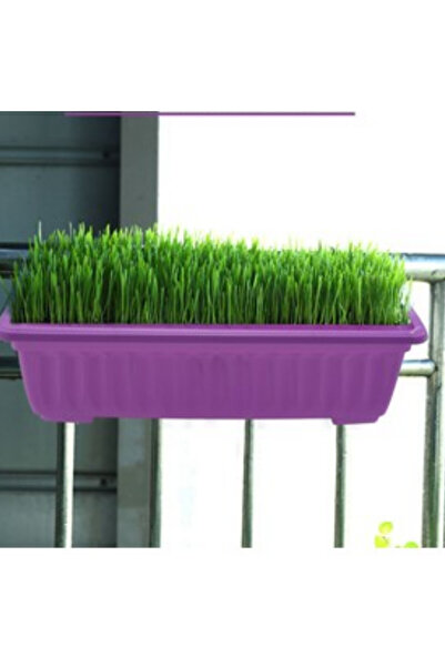 abnturk 50×15 Balkon Saksı'sı