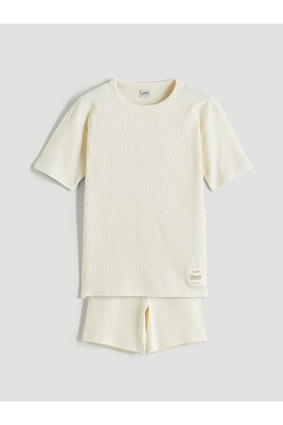 LC Waikiki Brown Crew Neck Boys T-Shirt and Shorts