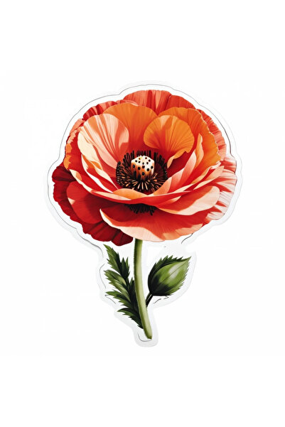 INOVATIX Set de 8 bucăți, autocolant cu mac, INOVATIX®. 6 cm