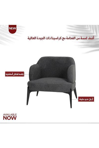 rexa Luxury Accent Chair with Supportive Backrest