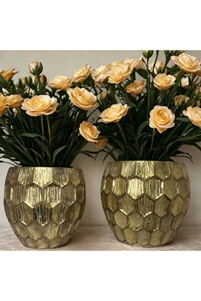 Zuccara Maison Altın Kaplama 2’li Metal Saksılık Takımı – Petek Desenli
