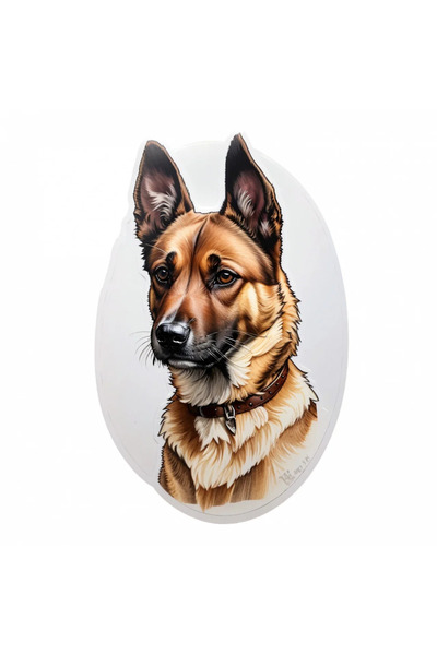 INOVATIX Set de 8 bucăți, autocolant pentru câine Belgian Malinois cu zgardă, INOVATIX®. 6 cm