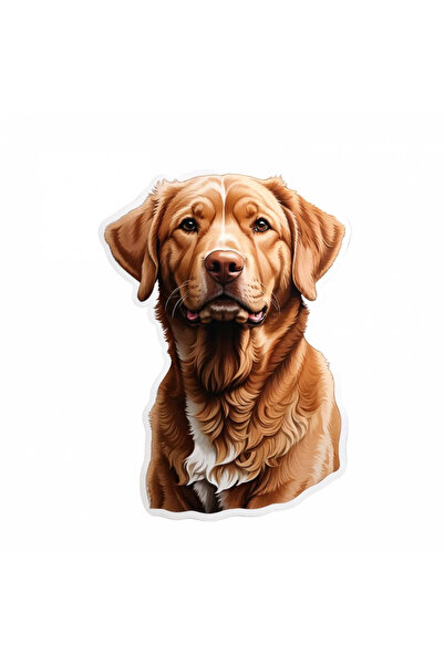 INOVATIX Set de 8 bucăți, autocolant pentru câine Chesapeake Retriever, INOVA...