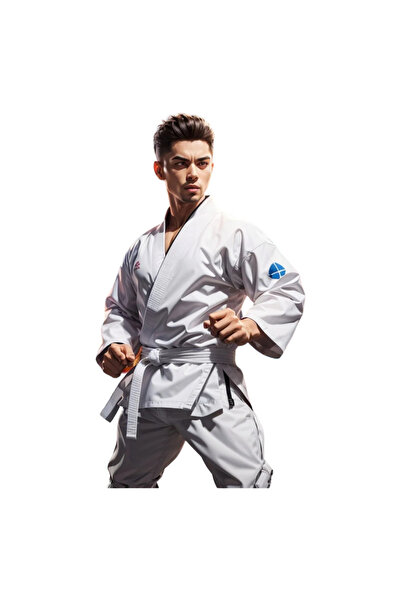 INOVATIX Set de 8 piese, autocolant sport centură karate, INOVATIX®. 6 cm