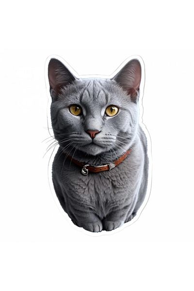 INOVATIX Set of 8 pieces, Sticker Russian Blue Cat with Collar, INOVATIX®. 6 cm