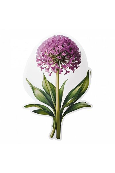 INOVATIX Set de 8 bucăți, autocolant cu flori de Allium, INOVATIX®. 6 cm