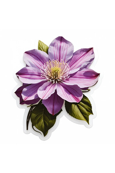 INOVATIX Set de 8 autocolante cu flori Clematis, INOVATIX®. 6 cm