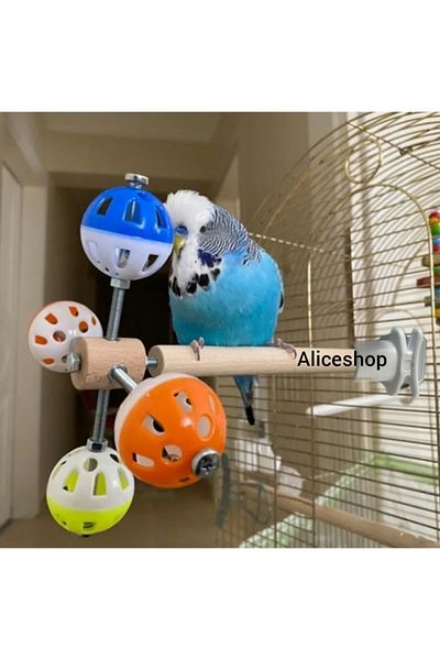 aliceshop Stress Toy with 4 Balls Is Suitable for Birds in Paradise and Dimensions of Sultan Sevda